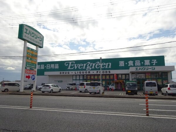 周辺環境(エバグリーン 紀三井寺店様 997m)
