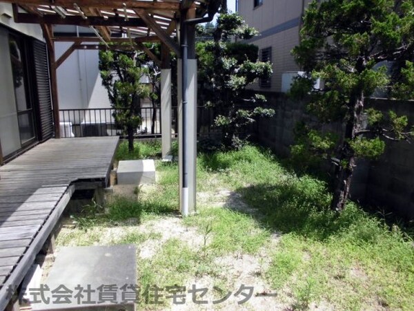 庭
