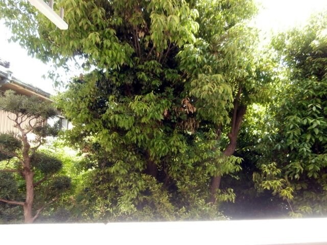 物件内観写真25　