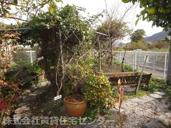 その他(敷地内無料果樹園)