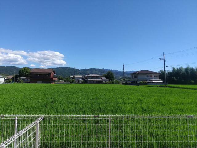 内観写真