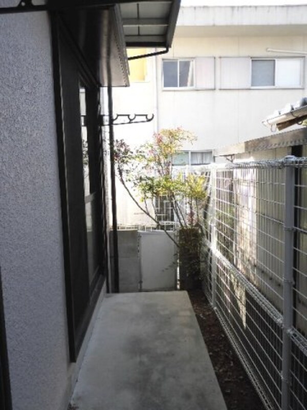 庭