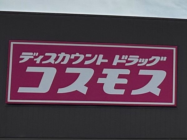 周辺環境(ドラッグストアコスモス 岩出西野店様 1221m)