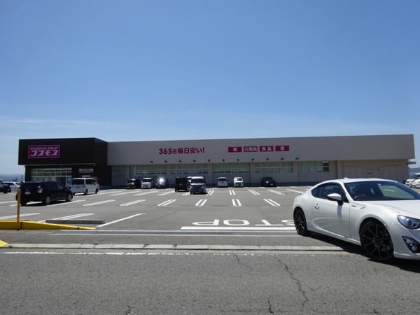 周辺環境(ディスカウントドラッグコスモス 野上野店 1369m)
