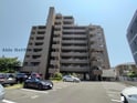 サーパス道後上市