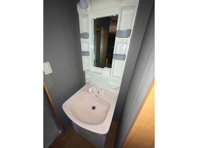 物件内観写真8　(シャンプードレッサー付きです)