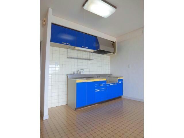 物件内観写真10　(ブルーにリフォームされたシンク)