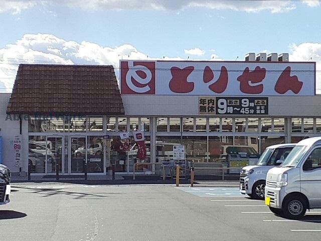 とりせん小鳥店