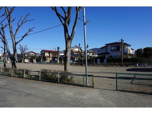 周辺環境(アパートの裏には広い公園)