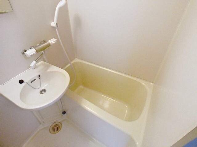 物件内観写真5　(2025年11月撮影※現況を優先します。)