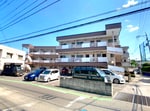 2025年5月撮影