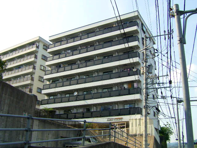 コージーコート