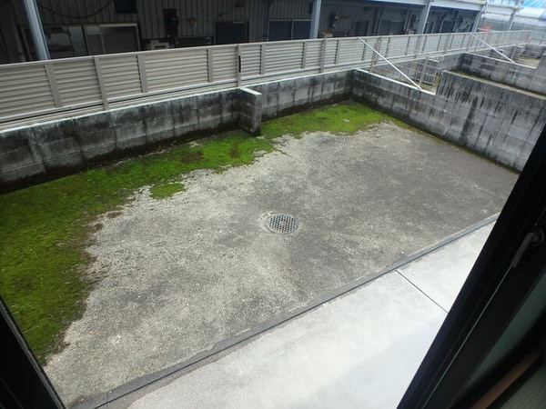 庭(庭（専用庭）)