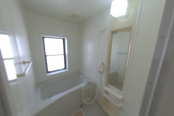 浴室(2020年9月撮影)