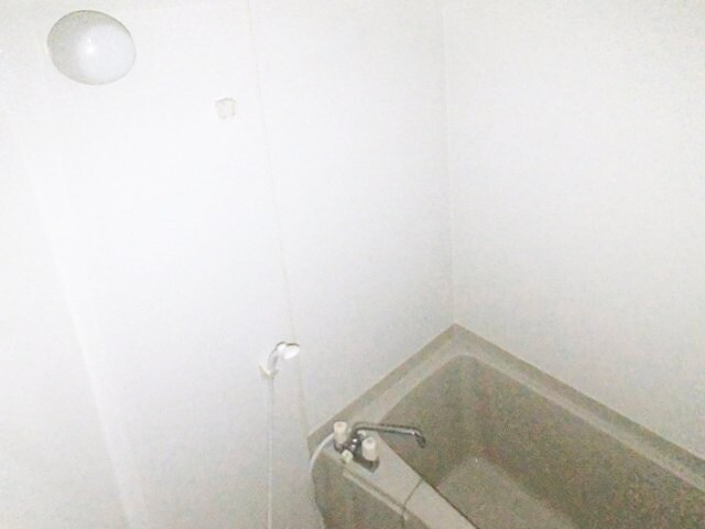 物件内観写真4　(2025年1月撮影)