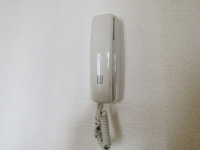 物件内観写真10　(2025年1月撮影)