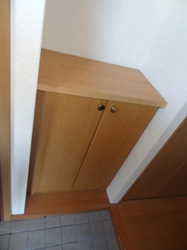 玄関(現況が相違する場合は現況を優先致します。)