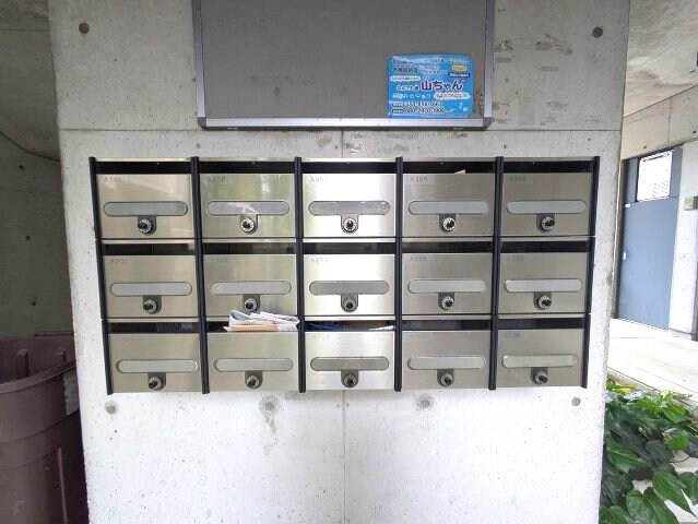 物件内観写真3　(2025年5月撮影※現況を優先致します。)