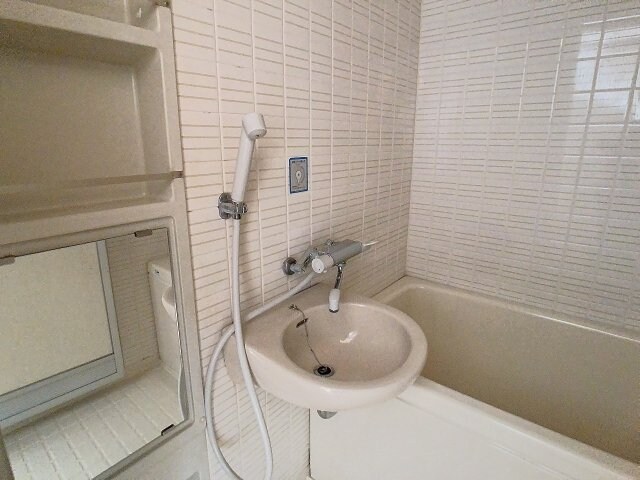 物件内観写真11　(2024年11月撮影)