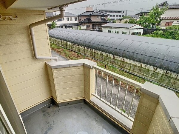 バルコニー(2024年6月撮影)