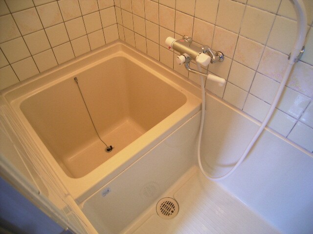 物件内観写真4　(2009年5月撮影)