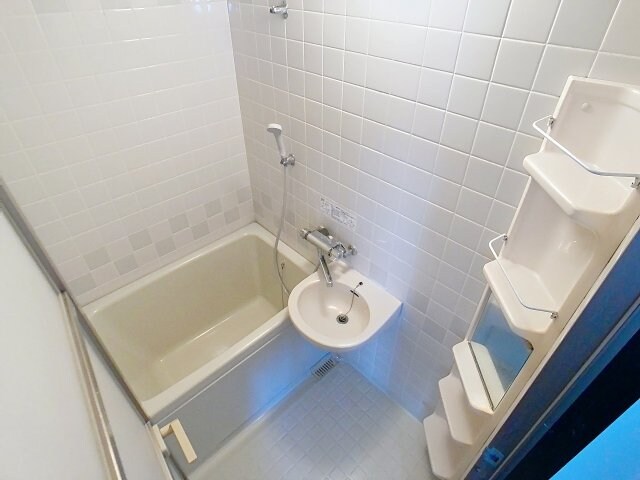 物件内観写真5　(2025年5月撮影※現況を優先致します。)