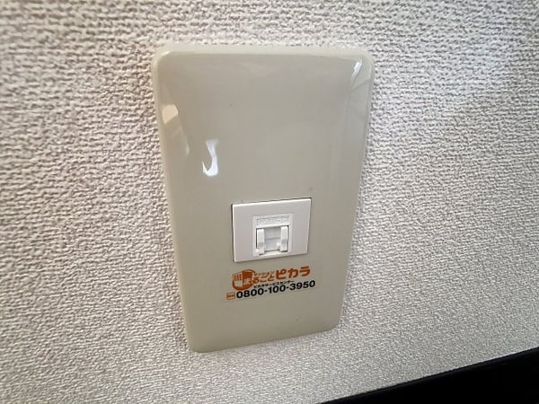 その他(2025年1月撮影※現況を優先致します。)