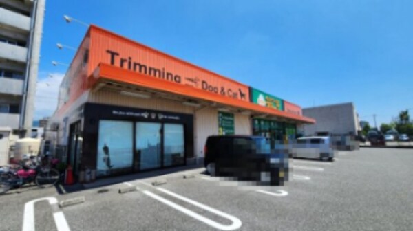 周辺環境(ペットワールド アミーゴ 高知店 553m)