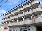 2018年6月撮影
