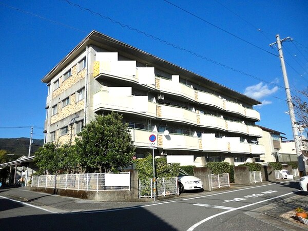 外観(外観)