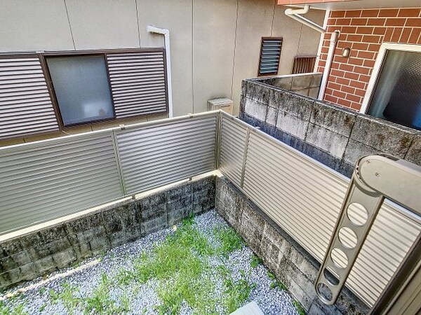 庭(2024年6月撮影)