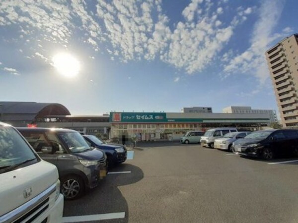 周辺環境(ドラッグセイムス高知駅前店 383m)