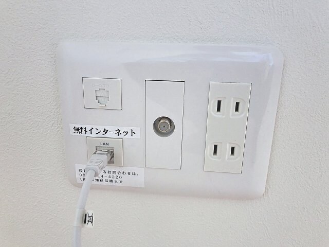 物件内観写真11　(2025年11月撮影)