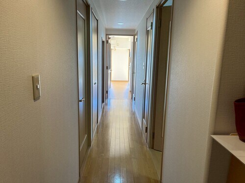 物件内観写真14　(玄関：玄関（原状回復工事後2025/11）     （202)