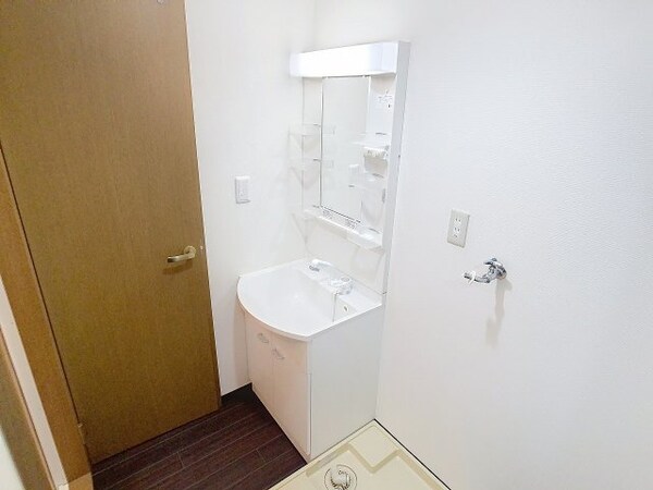 洗面・脱衣所(2025年6月撮影)