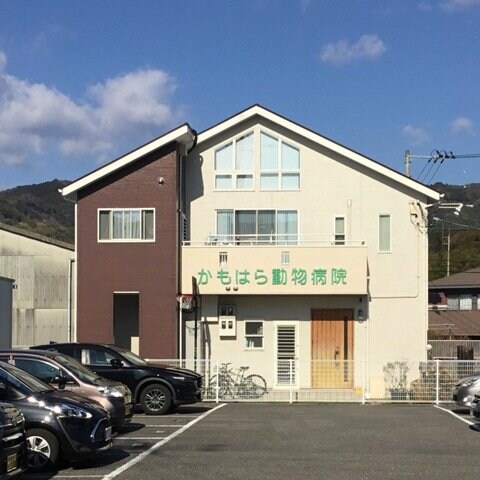 物件内観写真3　(かもはら動物病院 188m)