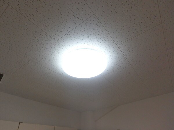 その他(室内照明)