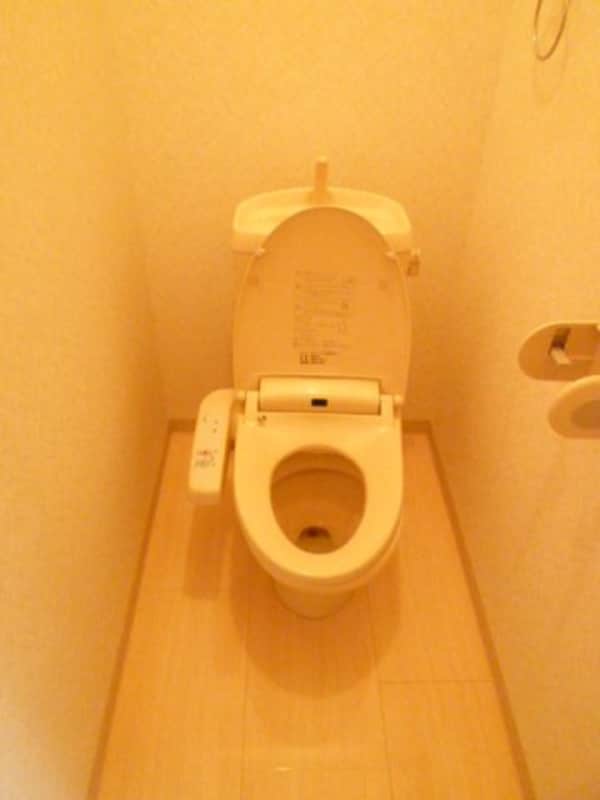 トイレ(現況が相違する場合は現況を優先致します。2011年6月撮影。)