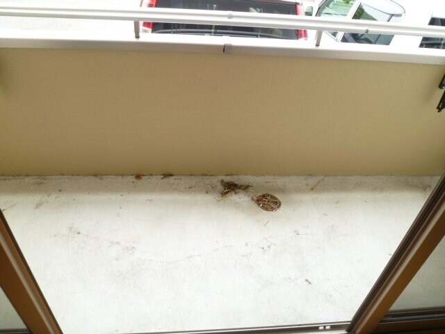 物件内観写真12　(現況が相違する場合は現況を優先致します。2011年6月撮影。)