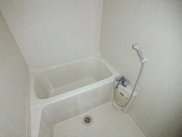 物件内観写真6　(2025年10月撮影※現況を優先します。)