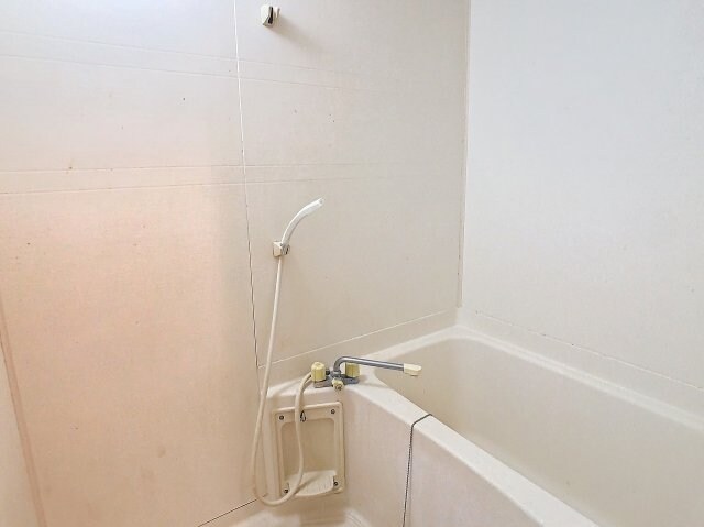 物件内観写真5　(現況を優先します。（撮影時期：2024年8月）)