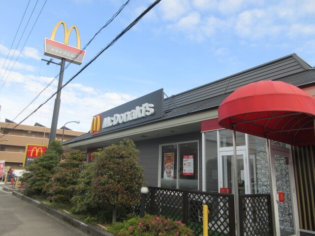 マクドナルド 55号野市店