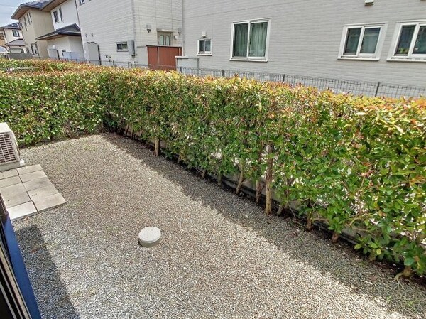 庭(2023年6月撮影)