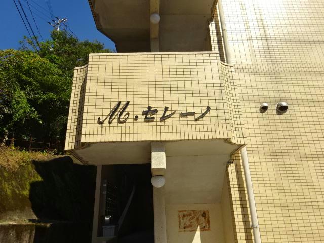 Ｍセレーノ