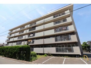 ハイツ松山外観写真