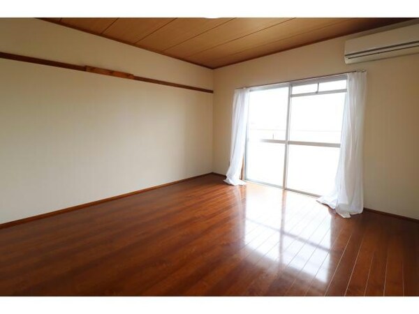 その他(305)