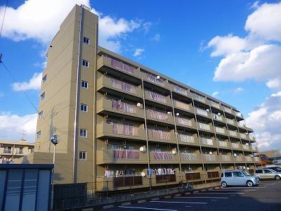 アブミパレスハセガワ