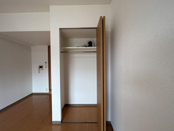 収納(同間取り・別部屋の写真です。)