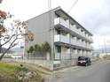 ペルーラ春風