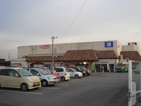 周辺環境(とりせん（スーパー）まで950ｍ)